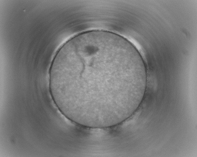 X0000115340807200911231431