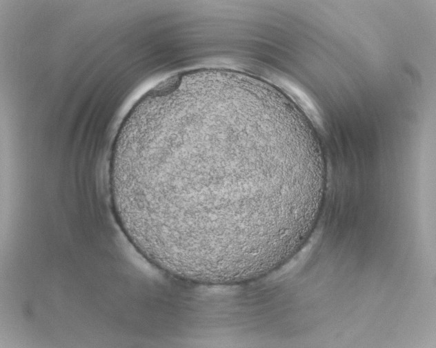 X0000115340808200911231431