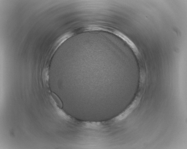 X0000115340809200911231431