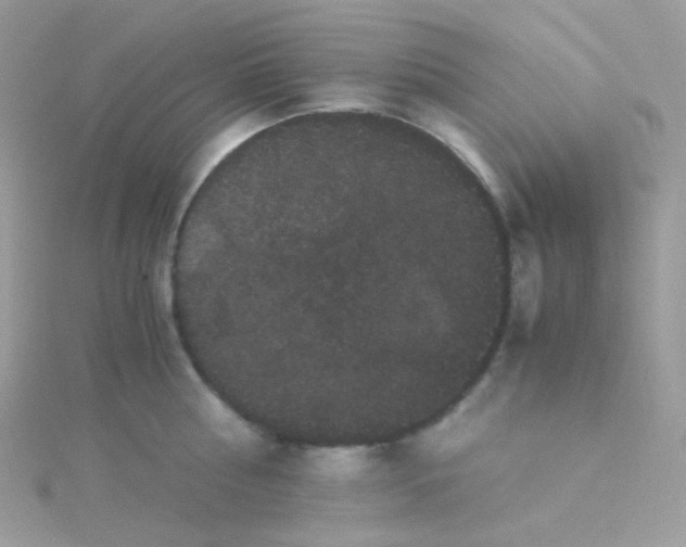 X0000115340810200911231431