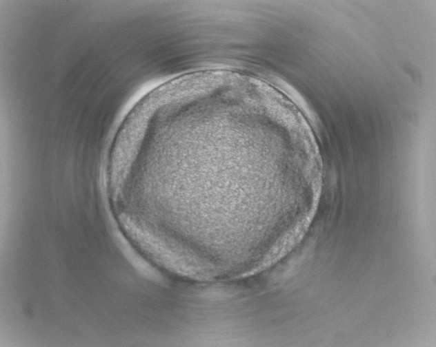 X0000115340811200911231431