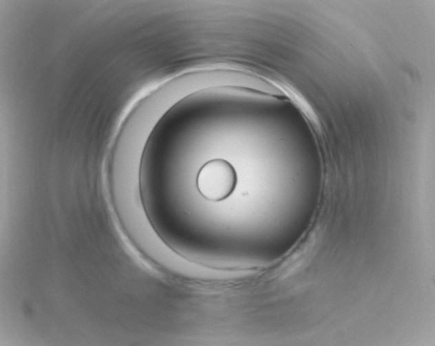 X0000115340813200911231431