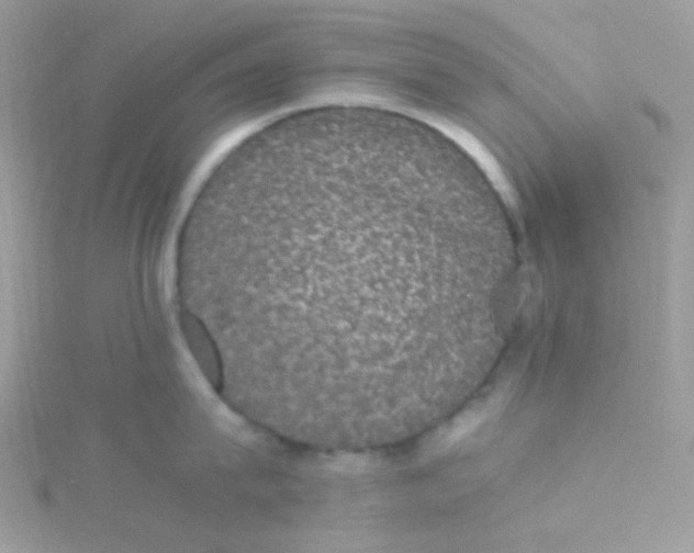 X0000115340815200911231431