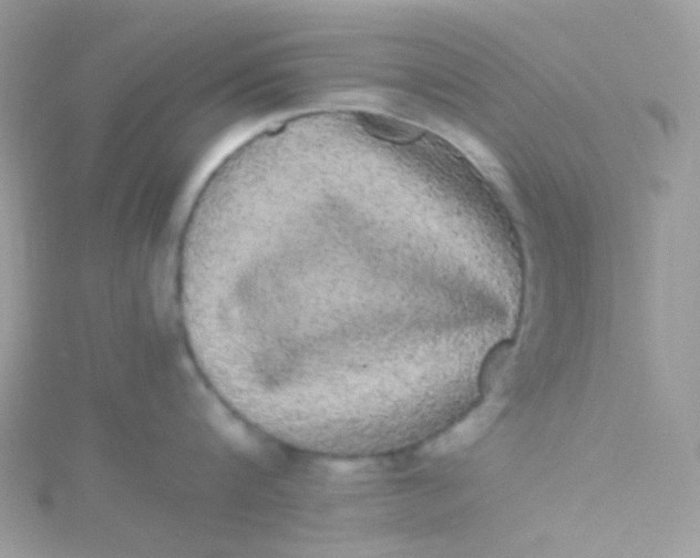 X0000115340816200911231431