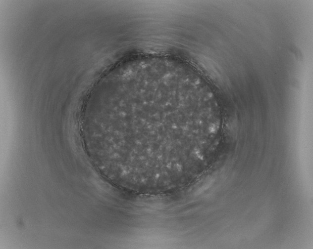 X0000115340817200911231430