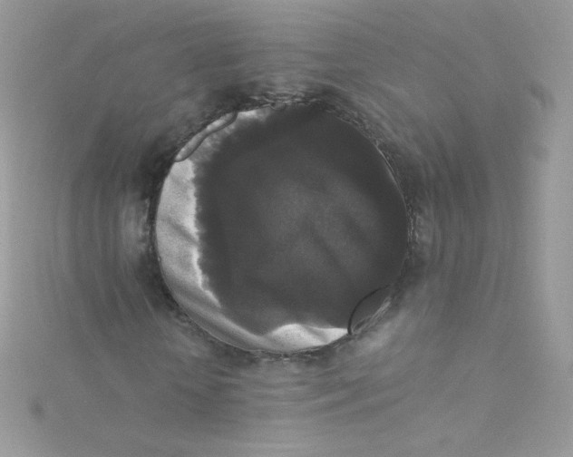 X0000115340818200911231430