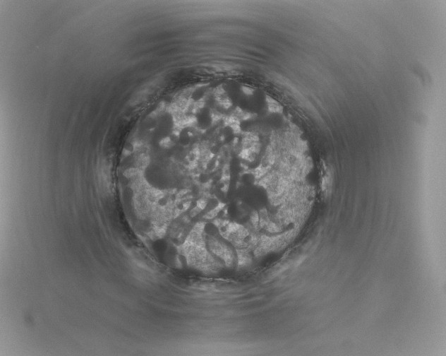 X0000115340819200911231430