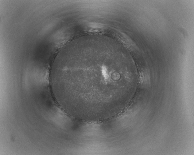 X0000115340820200911231430