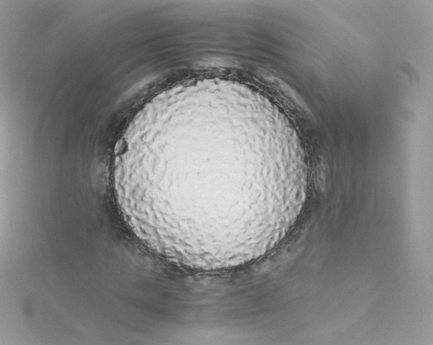 X0000115340821200911231430