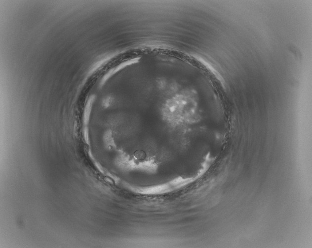 X0000115340823200911231430