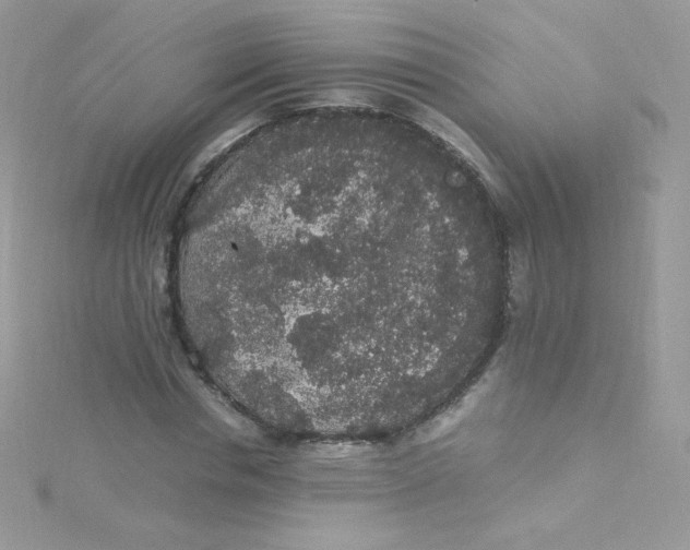 X0000115340826200911231431