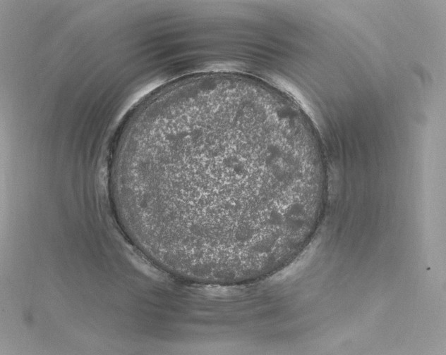 X0000115340827200911231431