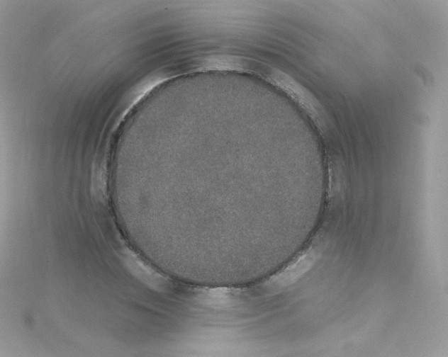 X0000115340828200911231431