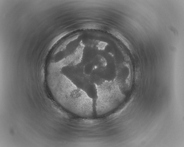 X0000115340829200911231431