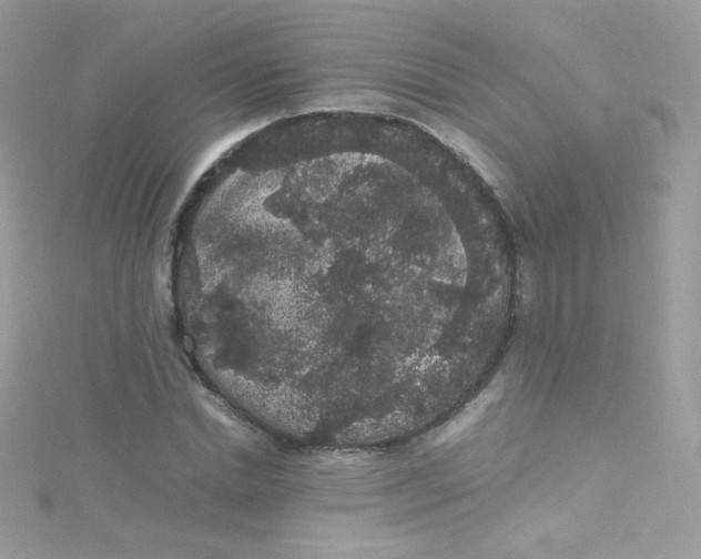 X0000115340830200911231431