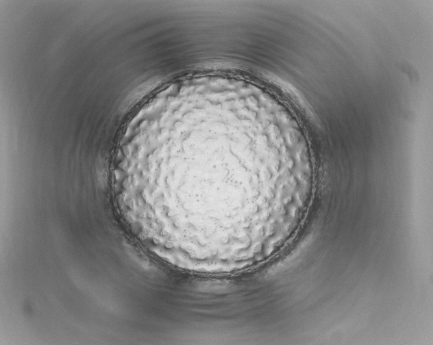 X0000115340833200911231431