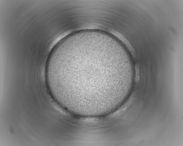 X0000115340834200911231431