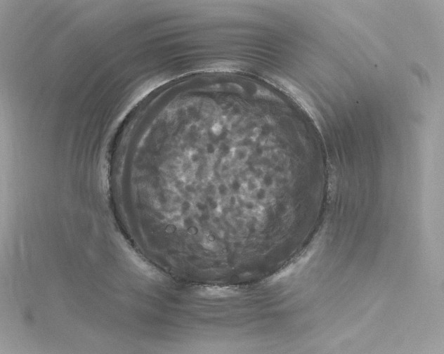 X0000115340835200911231431