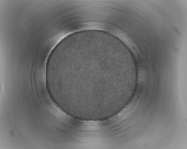 X0000115340836200911231431