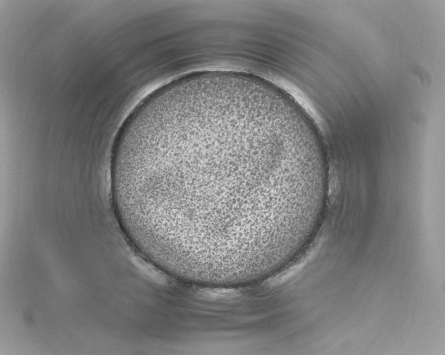 X0000115340837200911231431