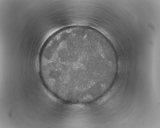 X0000115340838200911231431