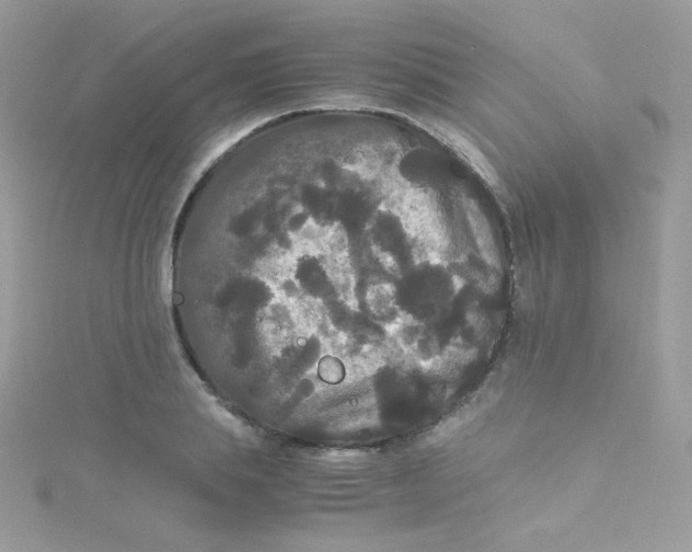 X0000115340839200911231431