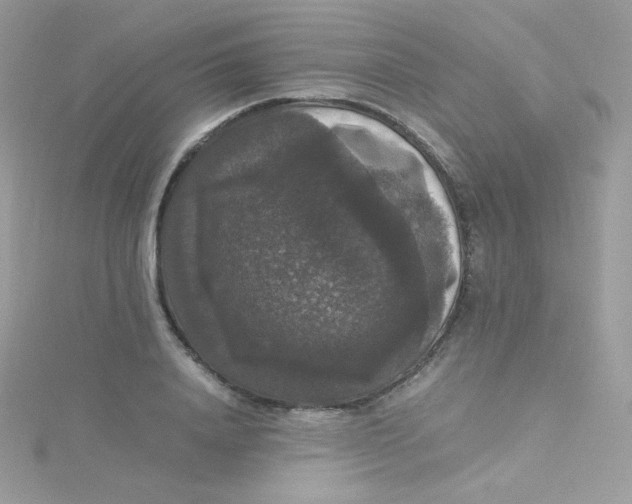 X0000115340840200911231431