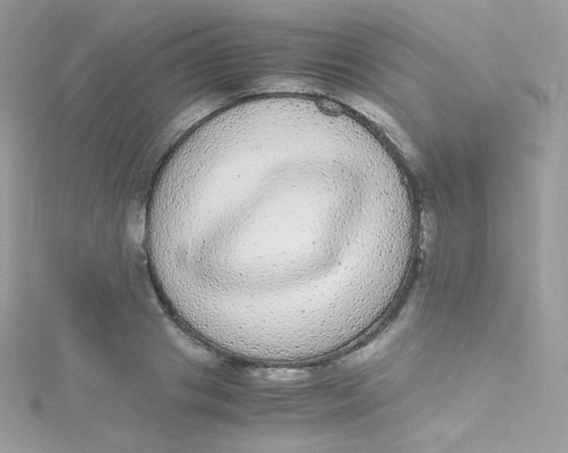 X0000115340841200911231431