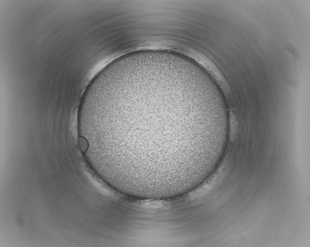 X0000115340842200911231431