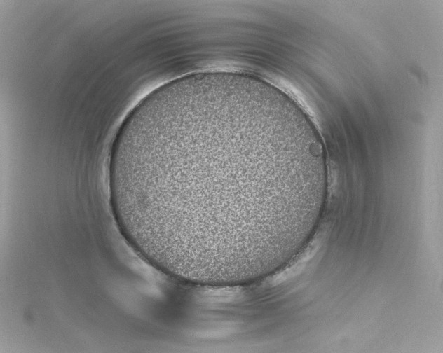 X0000115340843200911231431