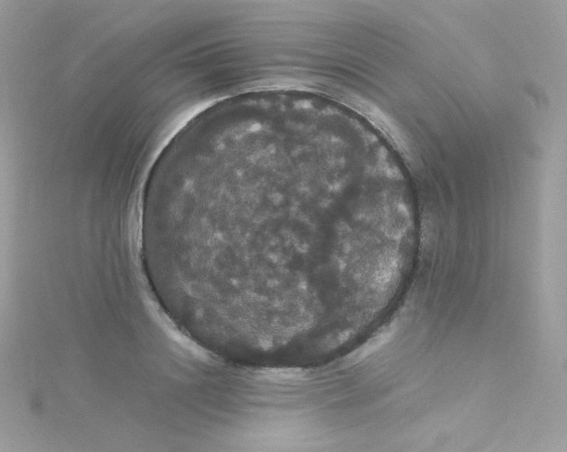 X0000115340844200911231431