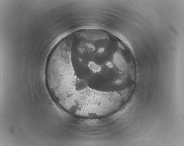 X0000115340845200911231431