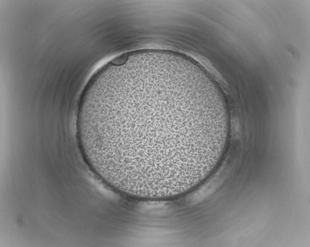 X0000115340846200911231431