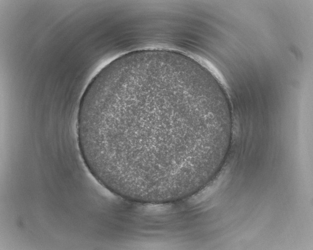 X0000115340847200911231431