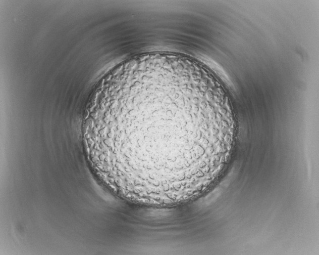 X0000115340849200911231431