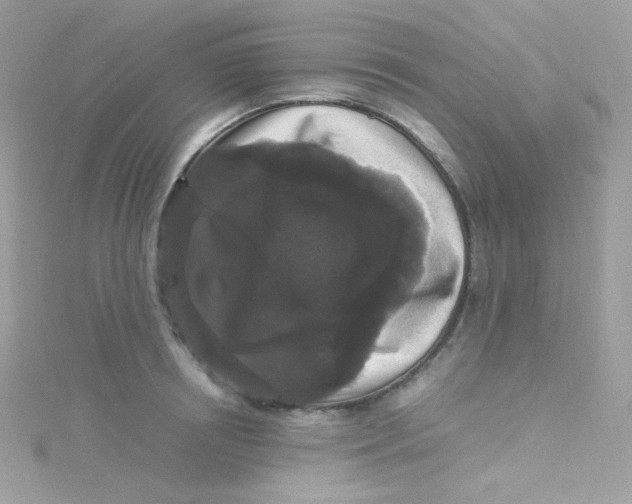 X0000115340850200911231431