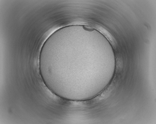 X0000115340852200911231431