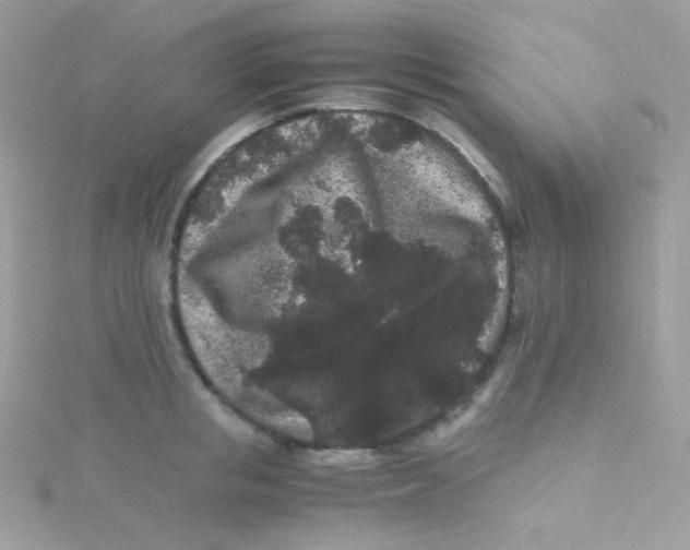 X0000115340853200911231431