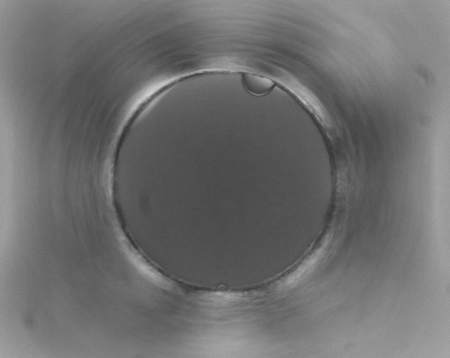 X0000115340854200911231431