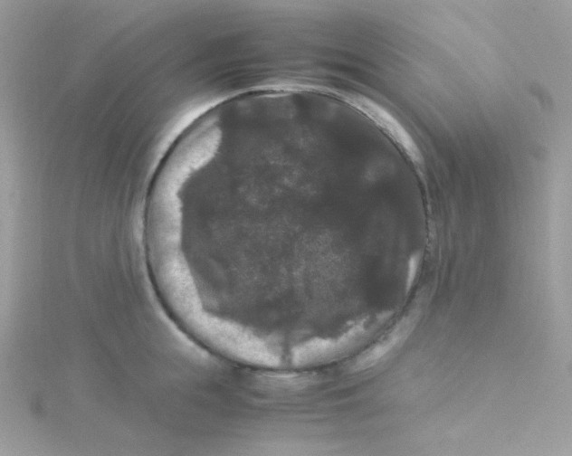 X0000115340855200911231431