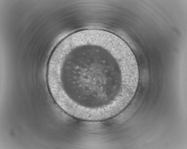 X0000115340856200911231431