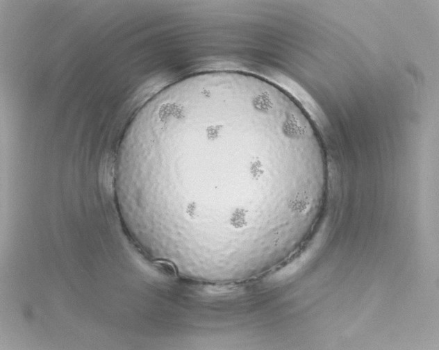 X0000115340857200911231431