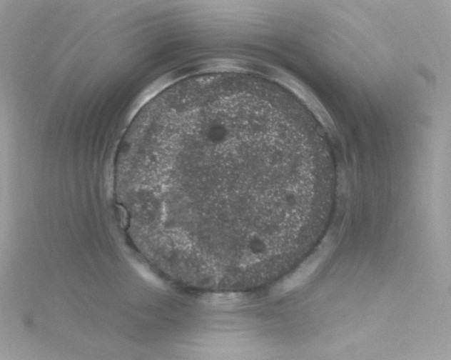 X0000115340858200911231431