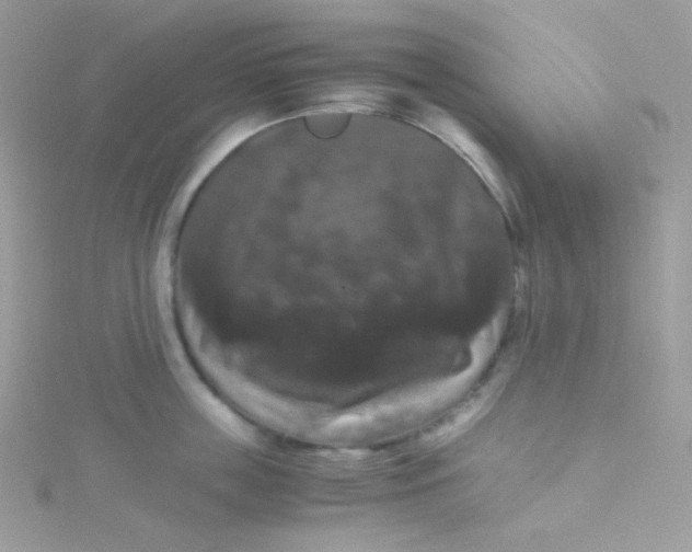 X0000115340859200911231431