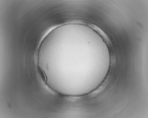 X0000115340860200911231431