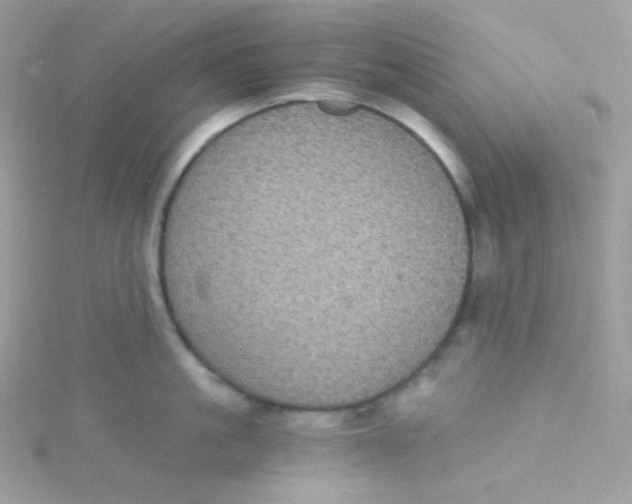 X0000115340861200911231431