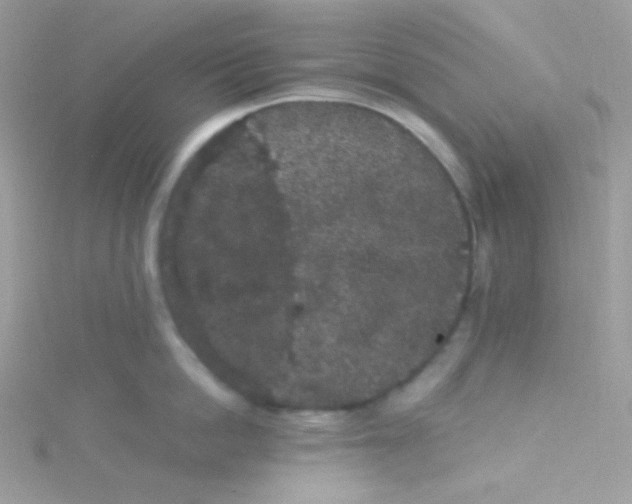 X0000115340862200911231431