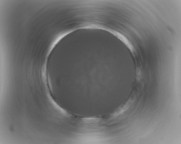 X0000115340863200911231431