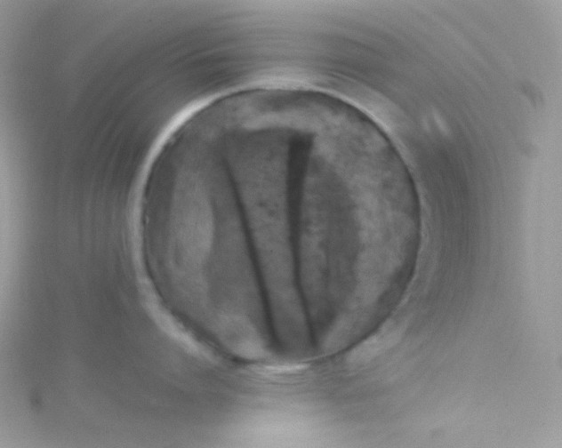 X0000115340864200911231431