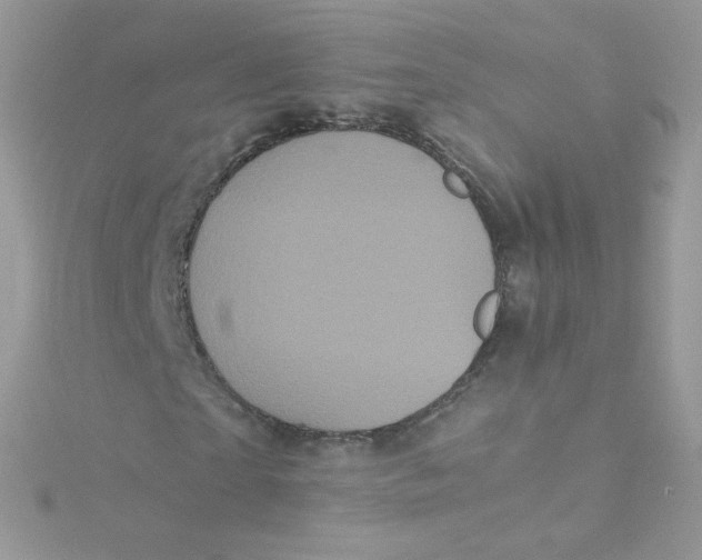 X0000115340865200911231430